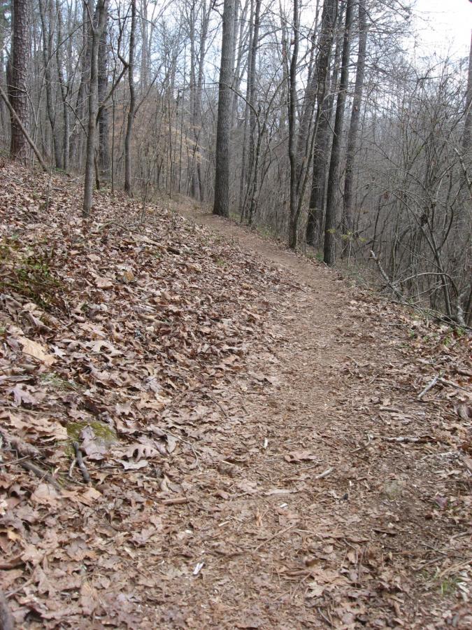 A winding dirt trail surrounded by bare trees, with a carpet of dry leaves covering the ground. The trail curves gently and narrows as it ascends through the forest, showcasing a tranquil, natural environment in late autumn or early spring. Heritage Park mountain bike trail.