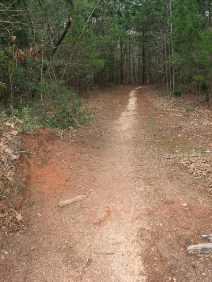A narrow dirt trail winding through a forested area, surrounded by tall trees and underbrush, with a view of the path extending into the distance. Heritage Park mountain bike trail.