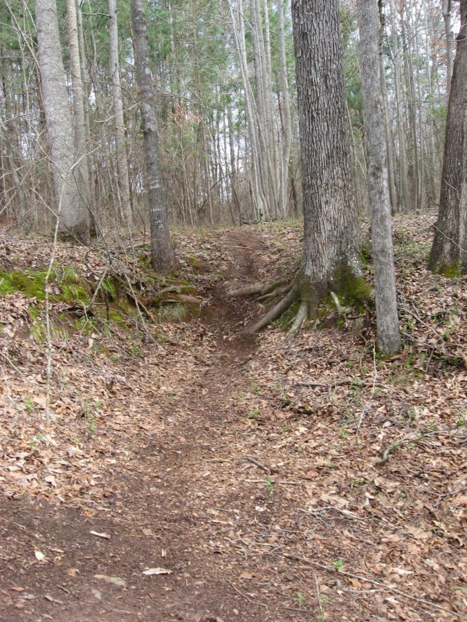 A dirt hiking trail winding through a wooded area, with trees on either side and scattered fallen leaves covering the ground. The trail is narrow and slightly uneven, leading deeper into the forest. Heritage Park mountain bike trail.