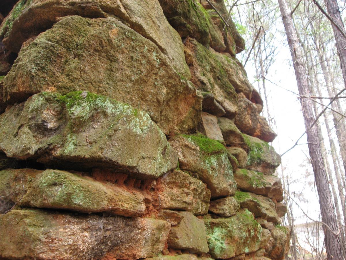 A close-up view of a moss-covered stone wall, with various sized rocks stacked irregularly. The greenery of moss contrasts with the earthy tones of the stones, set against a backdrop of tall trees and soft natural light. Heritage Park mountain bike trail.