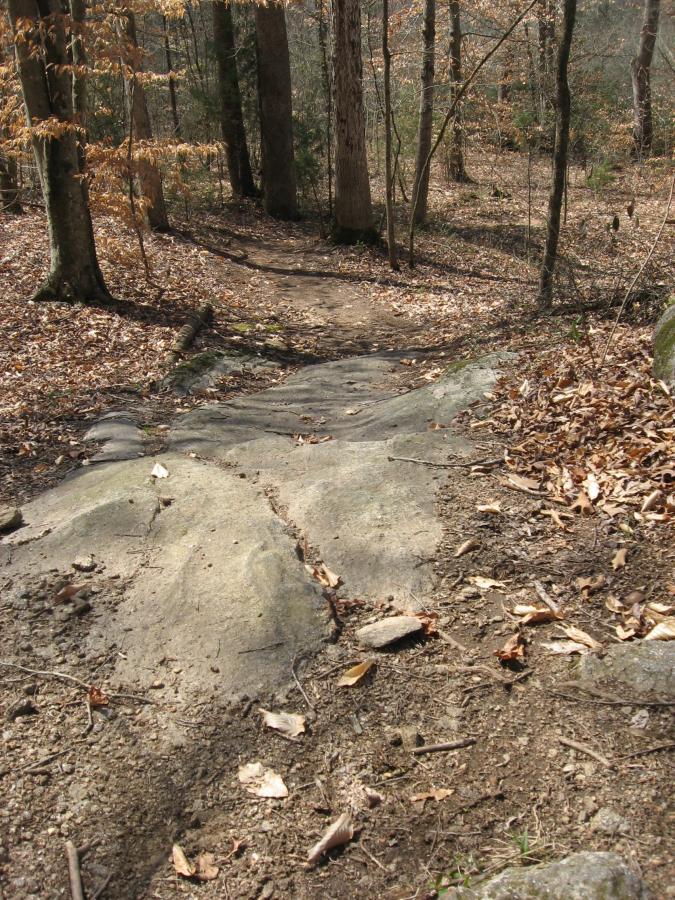A narrow, rocky trail descends through a forested area with trees and fallen leaves scattered on the ground. The path is lined with smooth stones and partially obscured by dry leaves, suggesting an autumn landscape. Hawkes Creek mountain bike trail.