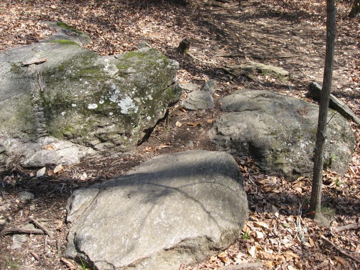 Three large rocks covered in moss and lichen are scattered on a forest floor layered with dry leaves and twigs. Sunlight filters through the trees, casting shadows on the stones and creating a natural, earthy scene. Hawkes Creek mountain bike trail.