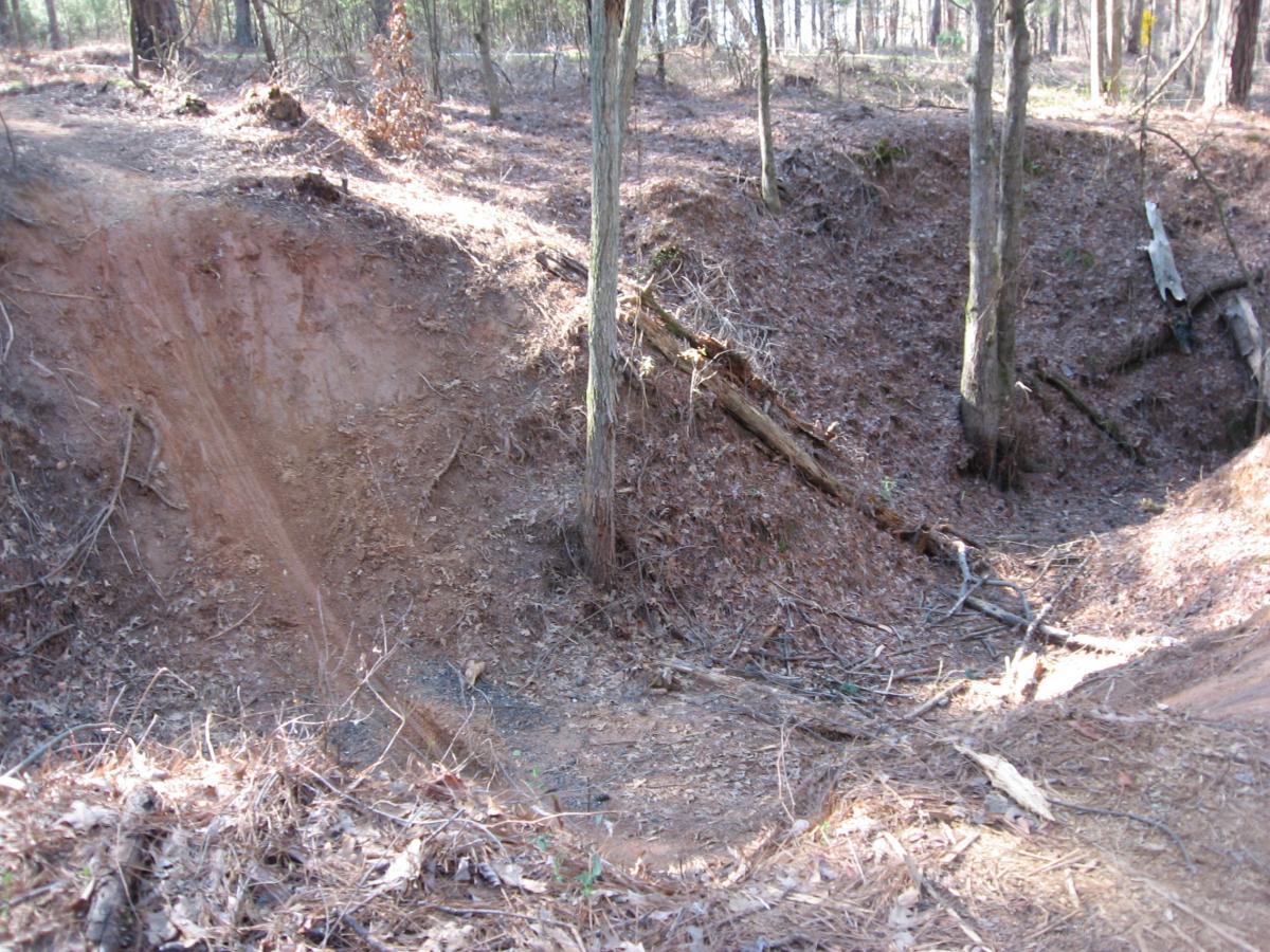 A wooded area showing a dirt ravine surrounded by trees, with scattered fallen leaves and logs on the ground. The terrain features a steep incline leading down into the ravine, with natural erosion evident on the slopes. Fort Yargo State Park mountain bike trail.