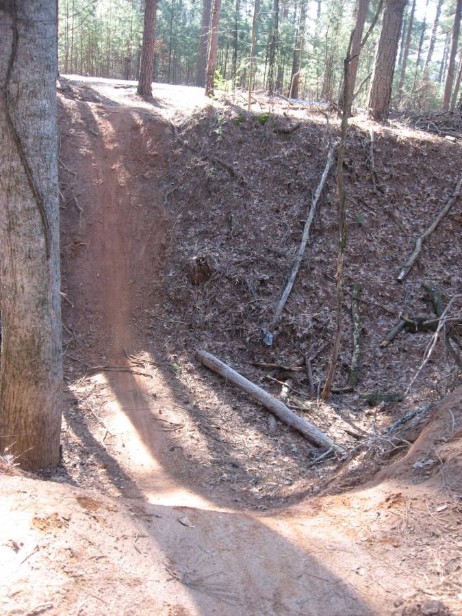 A dirt bike trail with a steep drop-off, surrounded by trees in a forested area. The path is lined with pine needles and dry leaves, and there are some fallen branches on the ground. Sunlight filters through the trees, creating shadows on the trail. Fort Yargo State Park mountain bike trail.