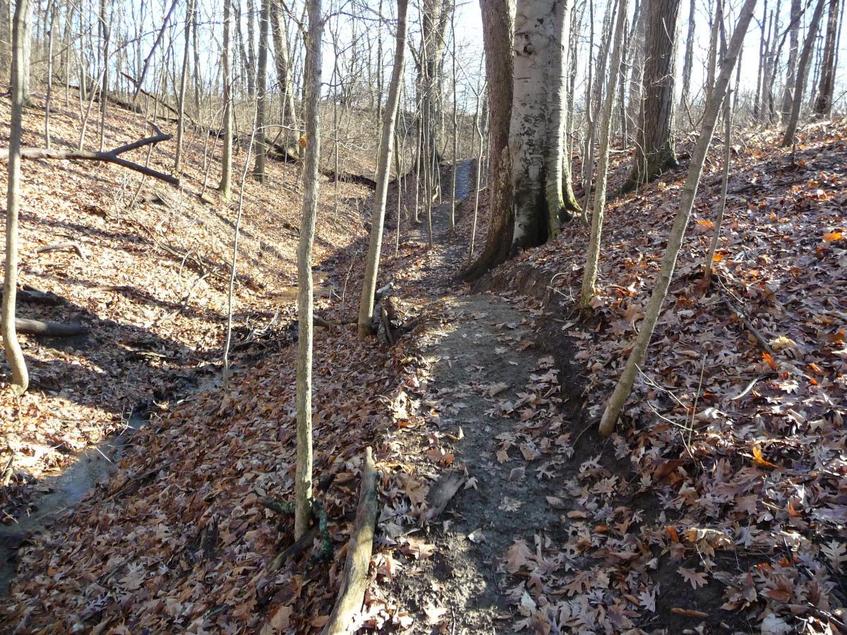 A narrow dirt trail winding through a wooded area during autumn, surrounded by bare trees and fallen leaves. The terrain is slightly sloped with a gentle incline on one side, and a small creek can be seen alongside the path. Sunlight filters through the branches, illuminating the earthy tones of the landscape. Murdock Park Trail mountain bike trail.