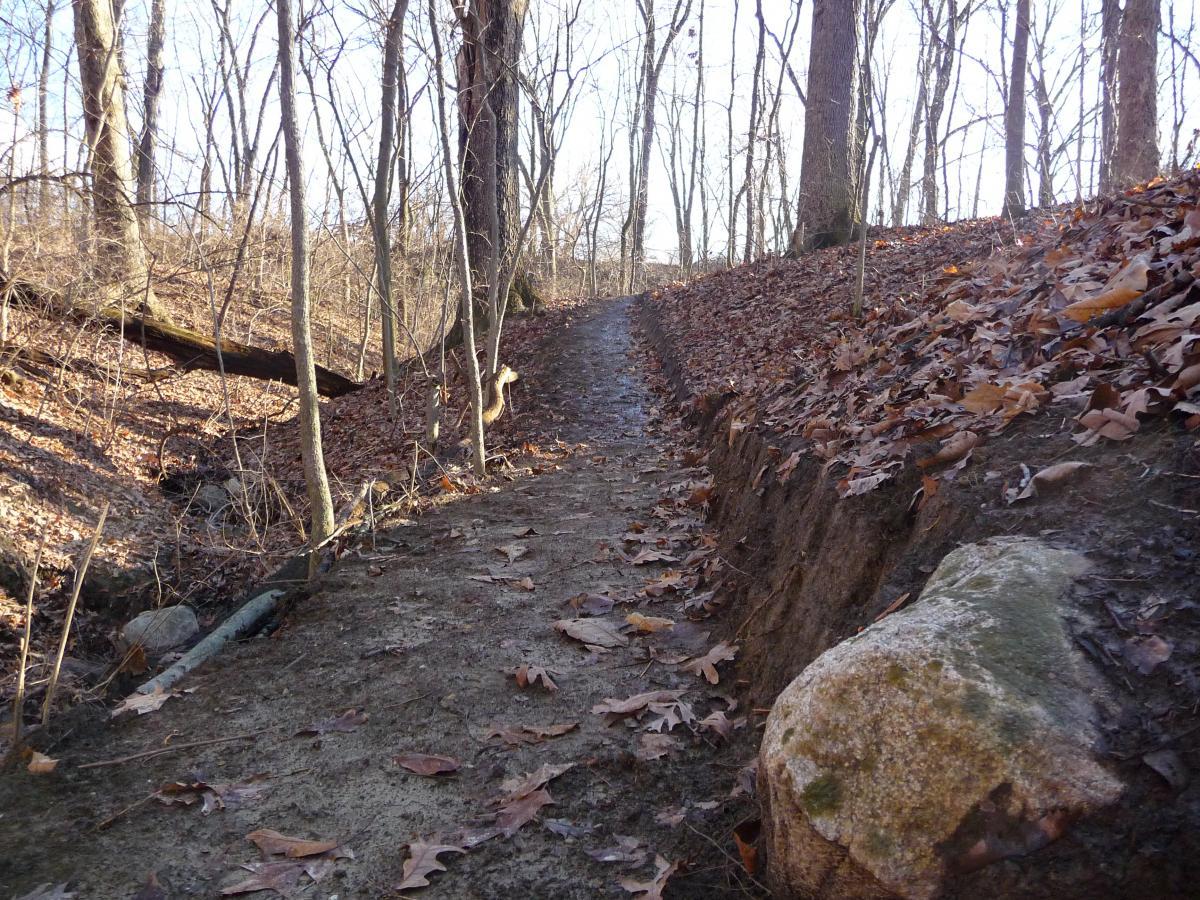 A narrow dirt path winding through a wooded area, lined with bare trees and fallen leaves. A large rock is positioned on the right side of the path, which has a gentle incline and is partially shaded by the surrounding trees. The scene captures the tranquility of a natural setting, suggesting a rustic trail in early autumn or late fall. Murdock Park Trail mountain bike trail.