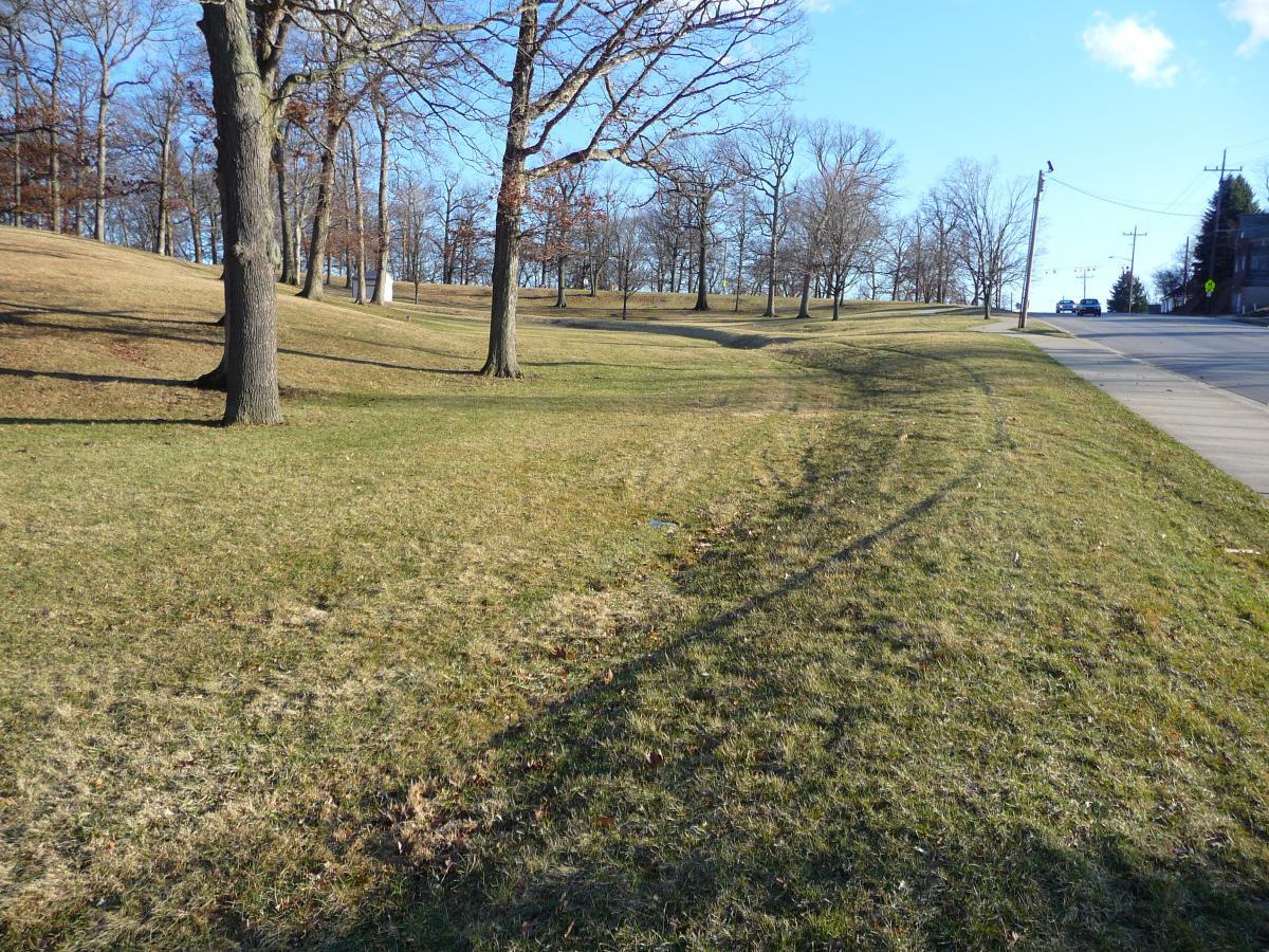 A grassy area with trees on gentle slopes, leading to a road. The scene shows a clear blue sky with a few clouds, and the landscape features a mix of bare and leafy branches. The foreground highlights well-maintained grass with patches of earth visible, while the background includes a roadside with power lines and a couple of vehicles. Murdock Park Trail mountain bike trail.