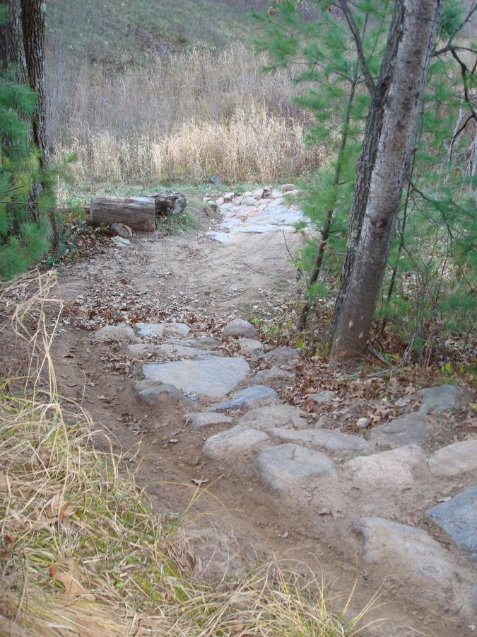 A rocky trail winding through a forested area, with a dirt path bordered by grass and fallen leaves. There is a log positioned nearby, and the background features sparse vegetation and trees. The scene suggests a natural hiking path in a wooded setting. Lowes Creek mountain bike trail.