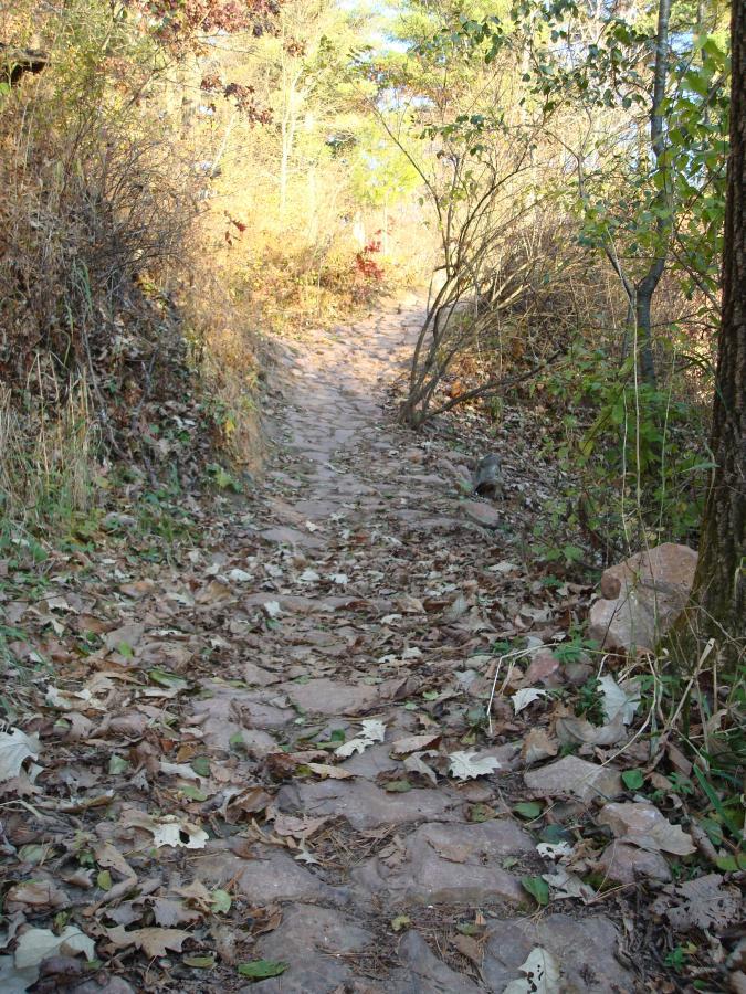 A dirt pathway winding through a forested area, lined with stones and covered in fallen leaves. Sunlight filters through the trees, illuminating the vibrant autumn foliage on either side of the trail. Lowes Creek mountain bike trail.