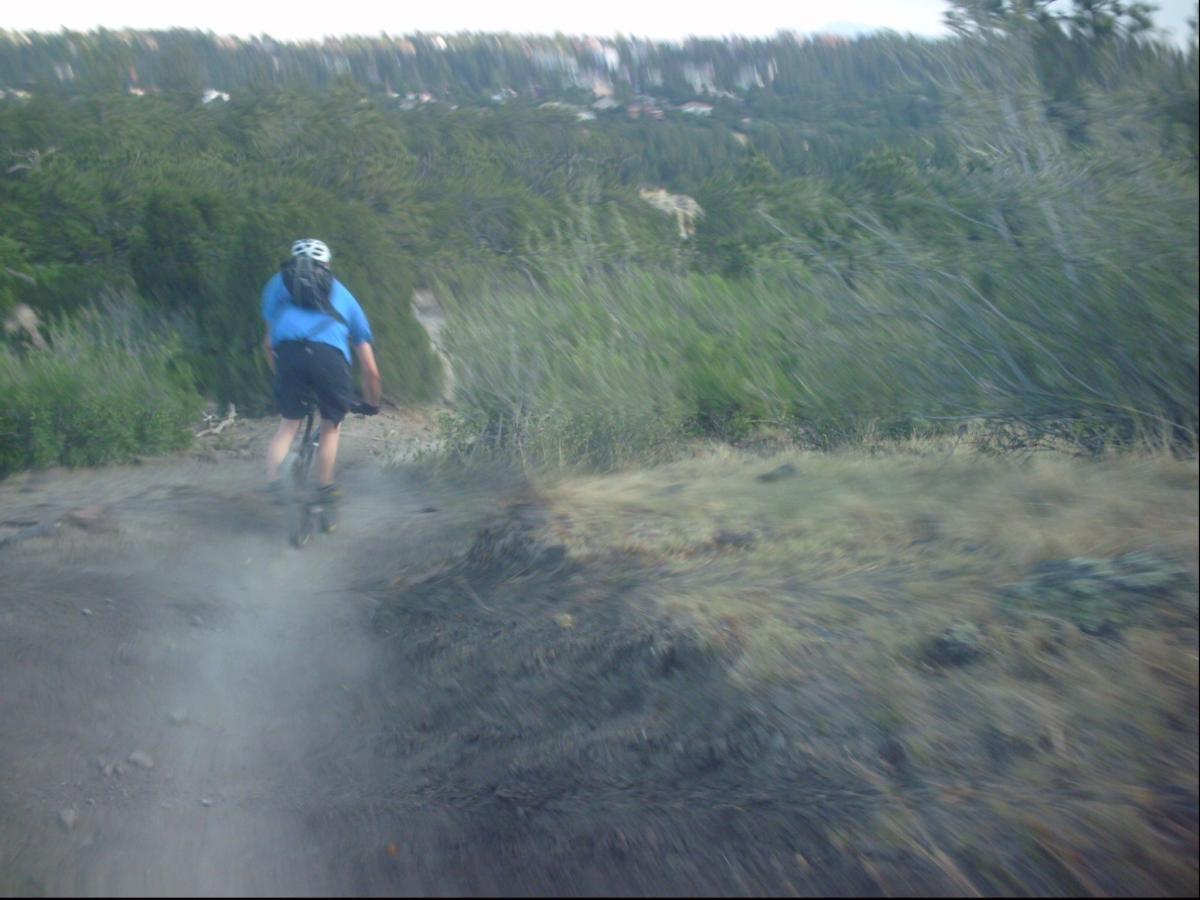 A person riding a mountain bike on a dirt trail, surrounded by greenery and trees, with dust visible in the air as they navigate the path. Ute Valley Park mountain bike trail.