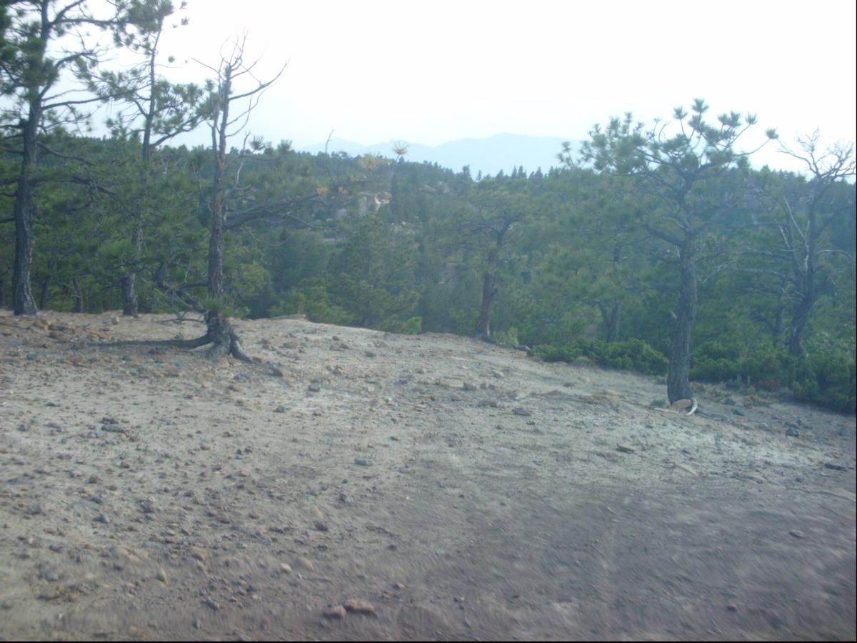 A rocky, sparse area with scattered pine trees and a clearing in the foreground. The landscape is mountainous in the background, under a cloudy sky. Ute Valley Park mountain bike trail.