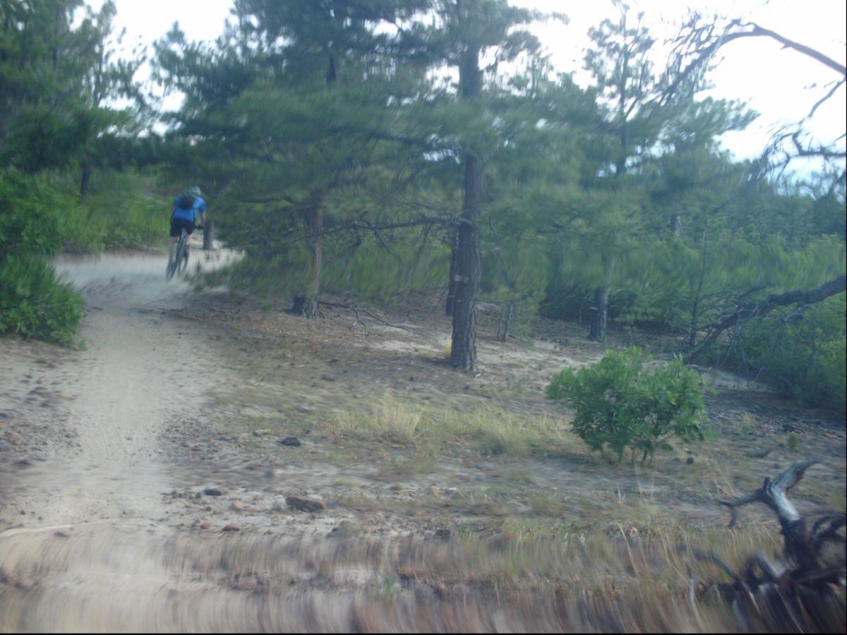 A cyclist riding a mountain bike on a dirt trail surrounded by trees and greenery, with a sense of motion captured in the image. Ute Valley Park mountain bike trail.