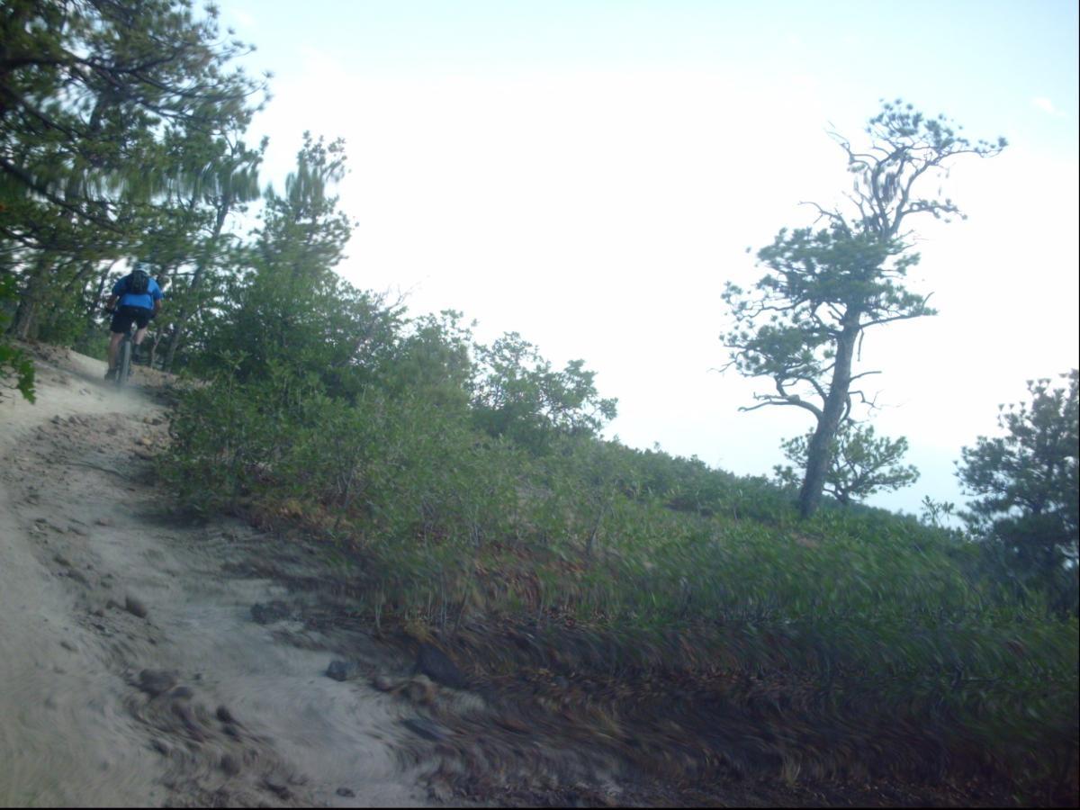 A cyclist riding along a sandy trail surrounded by dense greenery and trees in a natural landscape. The sky is light and partly cloudy, creating a serene outdoor atmosphere. Ute Valley Park mountain bike trail.
