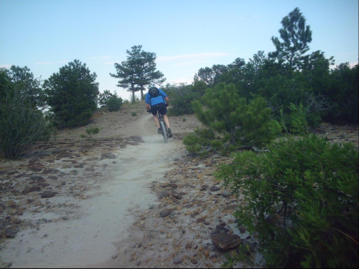 A person biking up a sandy, rocky trail surrounded by greenery and trees under a clear blue sky. Ute Valley Park mountain bike trail.