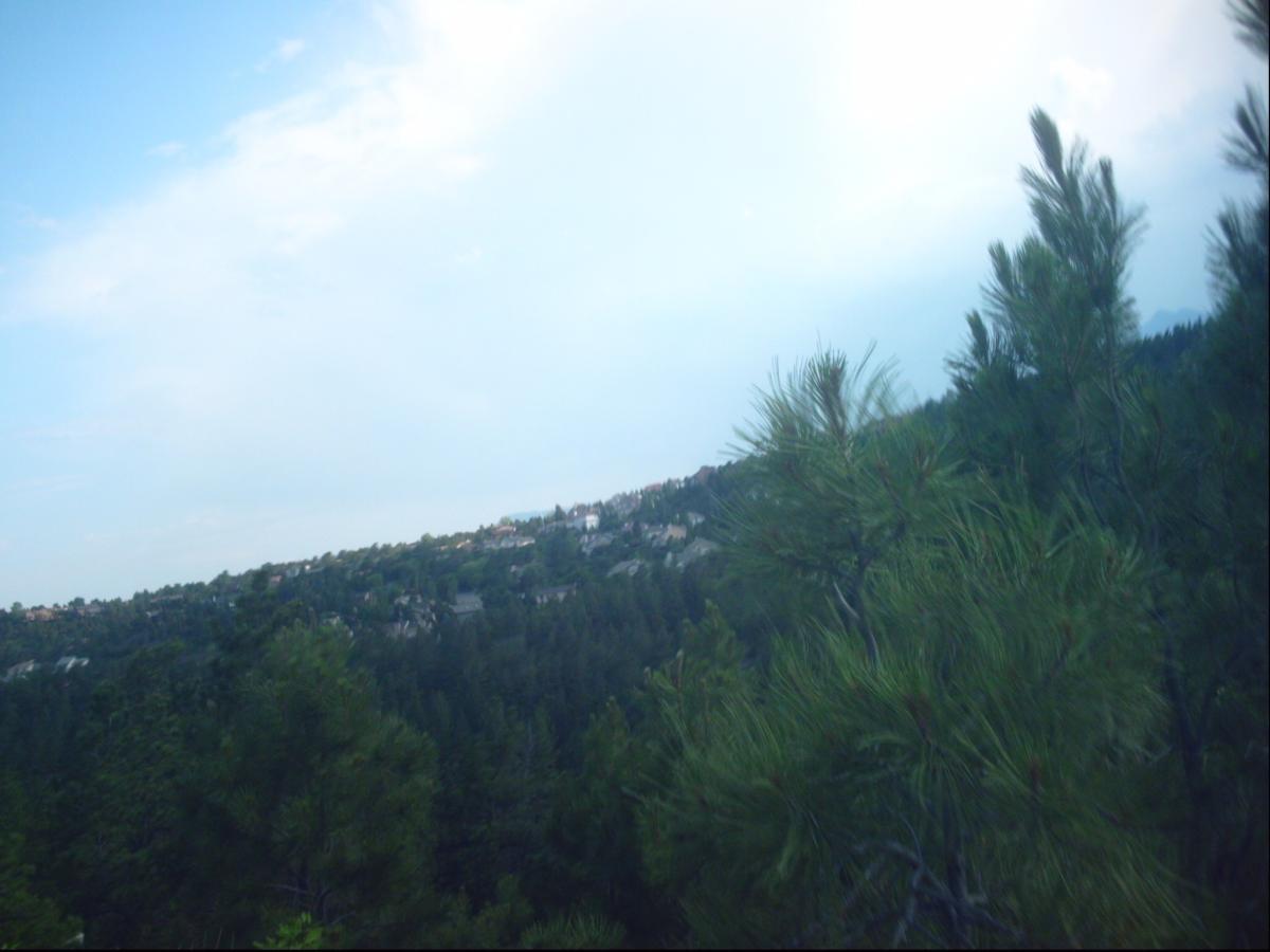 A scenic view of rolling hills covered with dense green trees, with scattered houses visible in the distance under a partly cloudy sky. The image has a slight tilt, emphasizing the natural landscape. Ute Valley Park mountain bike trail.