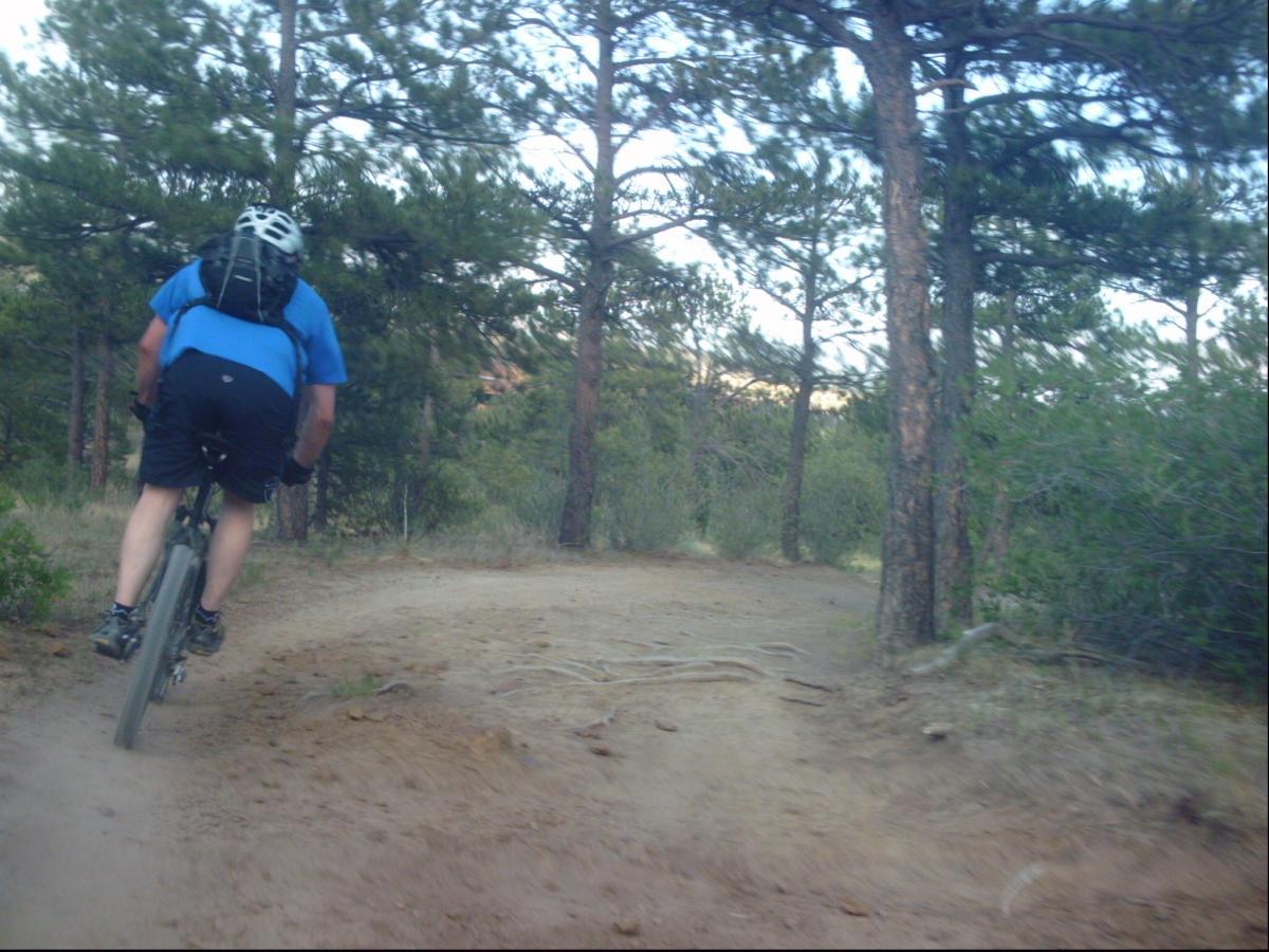 A mountain biker in blue and black athletic attire rides along a dirt path in a forested area, surrounded by tall pine trees and greenery. The scene captures the outdoor adventure and rugged terrain typical of mountain biking. Ute Valley Park mountain bike trail.
