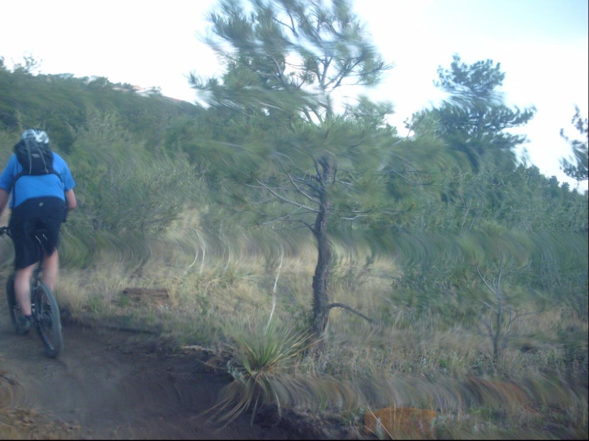 A mountain biker wearing a blue shirt and backpack rides on a narrow dirt trail surrounded by trees and greenery, with a slightly blurred or distorted effect in the image. The scene conveys a sense of motion and adventure in a natural outdoor setting. Ute Valley Park mountain bike trail.