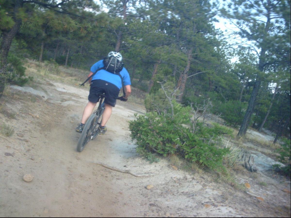 A person riding a mountain bike along a dirt trail in a forested area, surrounded by pine trees and shrubs. The cyclist is wearing a blue shirt, black shorts, and a helmet, and is seen from behind as they navigate the path. Ute Valley Park mountain bike trail.