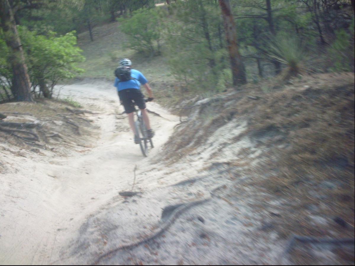 A person wearing a blue shirt and a helmet rides a mountain bike down a sandy trail surrounded by trees and greenery. The path winds through a forested area with visible tree roots and foliage. Ute Valley Park mountain bike trail.