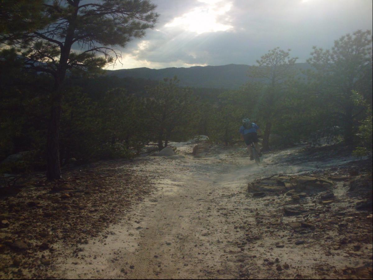 A mountain biker riding on a dirt trail surrounded by trees and rocky terrain, with a cloudy sky and distant mountains in the background. Dust is being kicked up as the cyclist navigates the path. Ute Valley Park mountain bike trail.