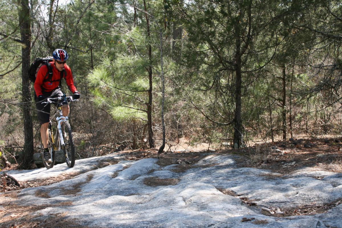 A mountain biker navigates a rocky trail surrounded by dense trees, wearing a red jacket and a helmet. The rider is focused on maintaining balance as they traverse the uneven surface. Georgia International Horse Park mountain bike trail.