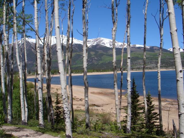 A scenic view featuring tall aspen trees in the foreground, with a clear blue lake and sandy shore in the middle ground. In the background, snow-capped mountains rise against a bright blue sky. Colorado Trail mountain bike trail.