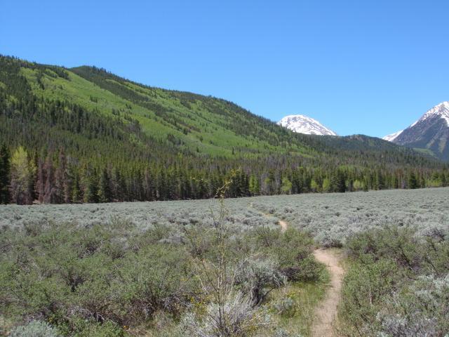 A scenic view of a lush green valley framed by mountains, with a clear blue sky above. A winding dirt path leads through a field of low shrubs, while coniferous trees line the edges of the valley, and snow-capped peaks rise in the distance. Colorado Trail mountain bike trail.