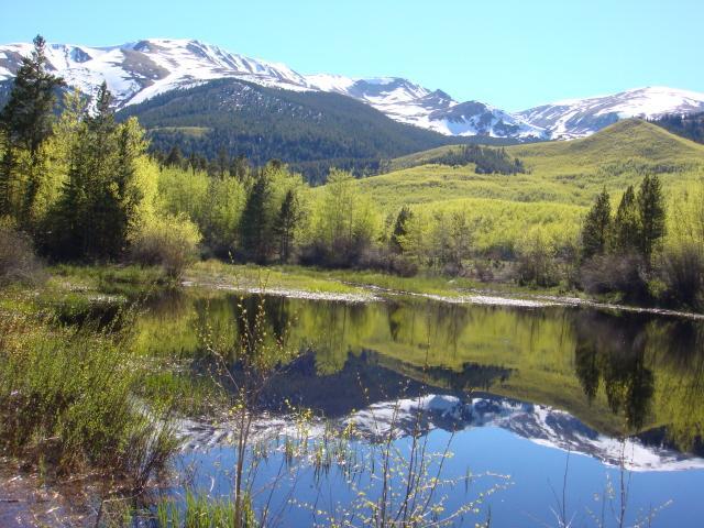 A serene landscape featuring a calm pond reflecting surrounding greenery and snow-capped mountains under a clear blue sky. The foreground includes lush trees and shrubs, while the background showcases rolling hills leading up to the majestic peaks. Colorado Trail mountain bike trail.
