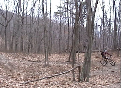 A mountain biker navigating a winding path through a wooded area in late autumn, surrounded by bare trees and fallen leaves on the ground.