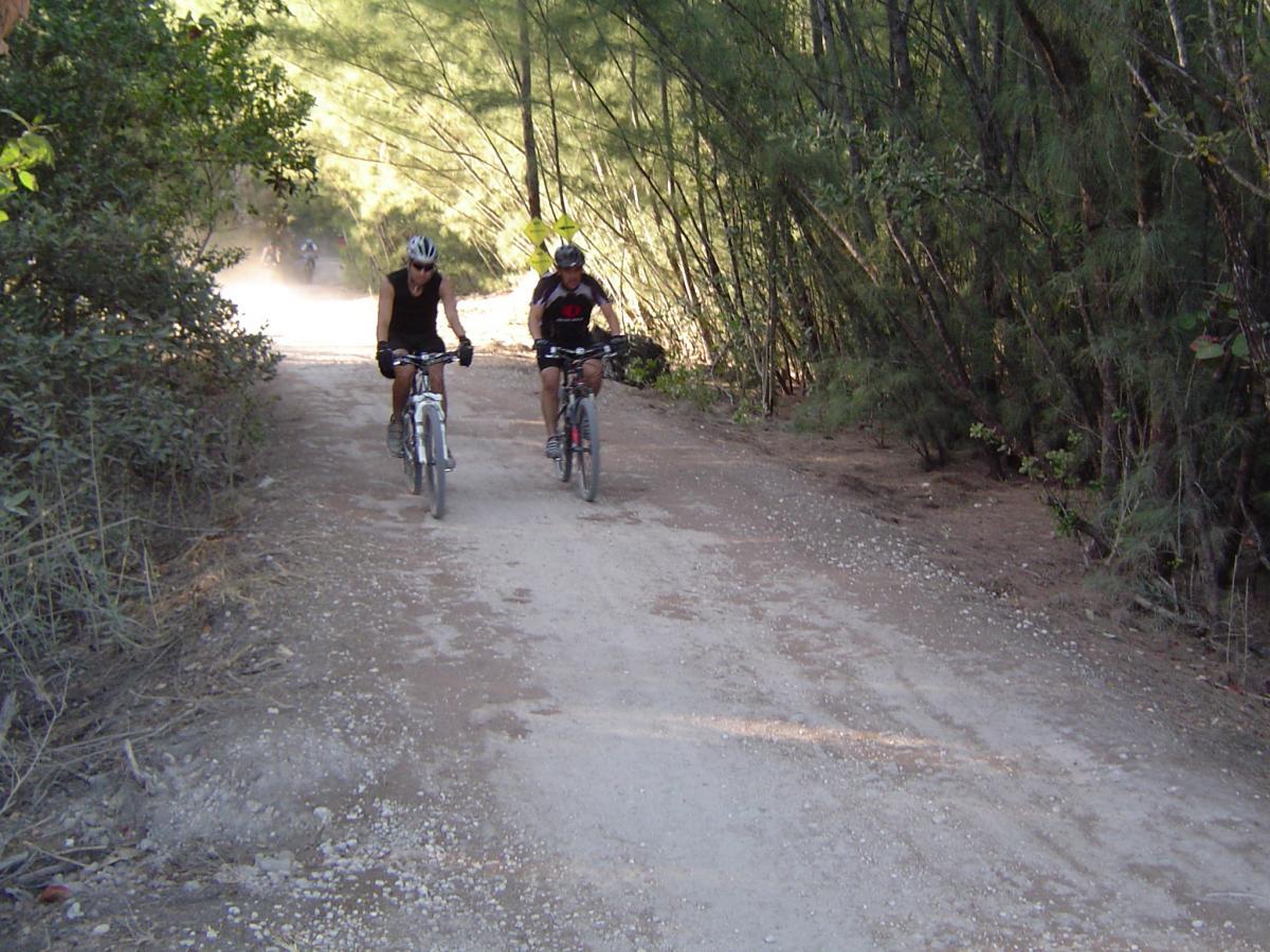 Two cyclists riding mountain bikes on a dirt path surrounded by trees. Dust is kicked up behind them as they pedal along the trail, which is shaded by greenery on either side. Oleta River State Park mountain bike trail.