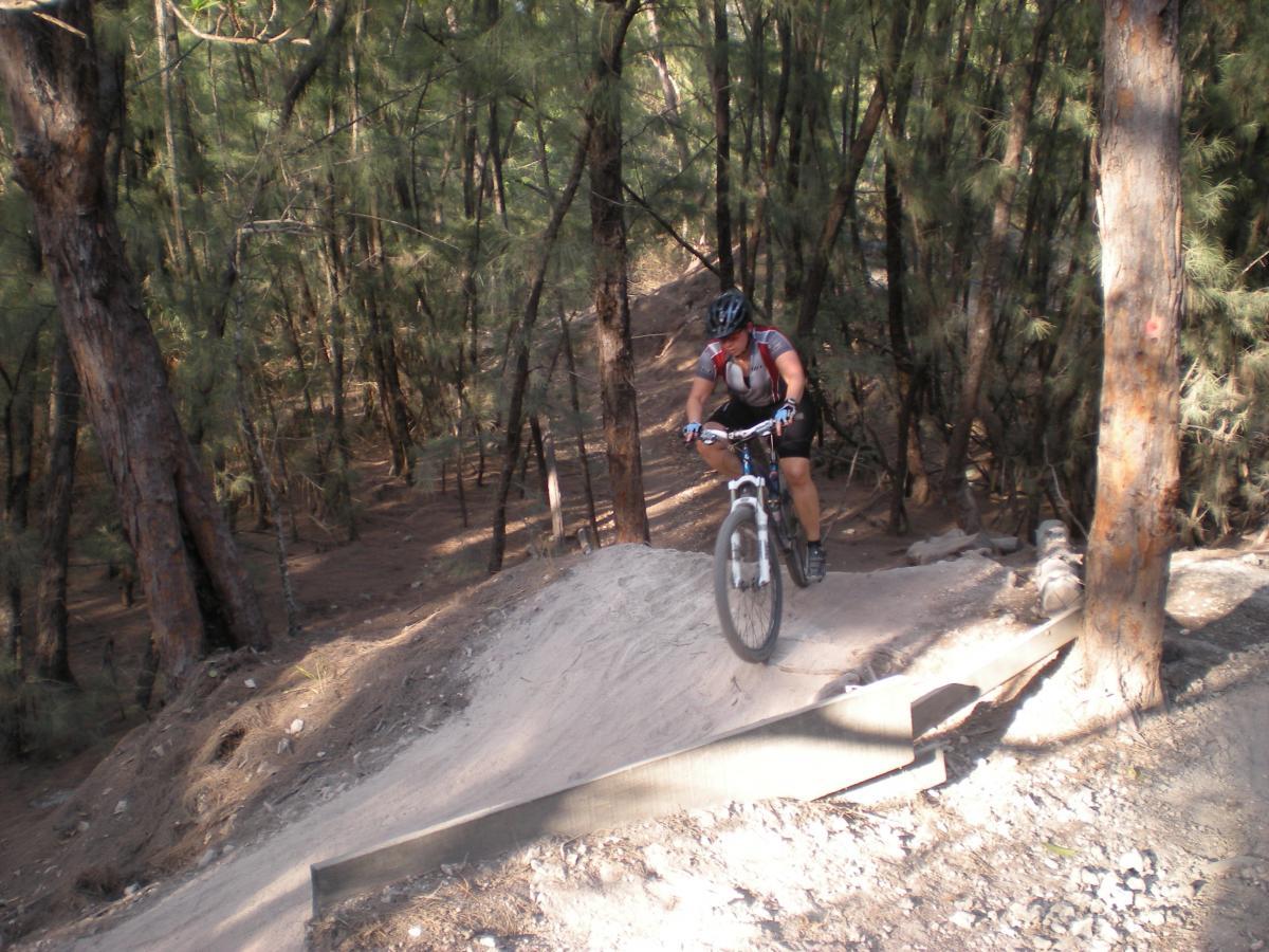 A mountain biker riding down a dirt trail surrounded by tall trees in a forested area. The cyclist is dressed in athletic gear, including a helmet, and is captured mid-ride as they navigate the terrain. Oleta River State Park mountain bike trail.