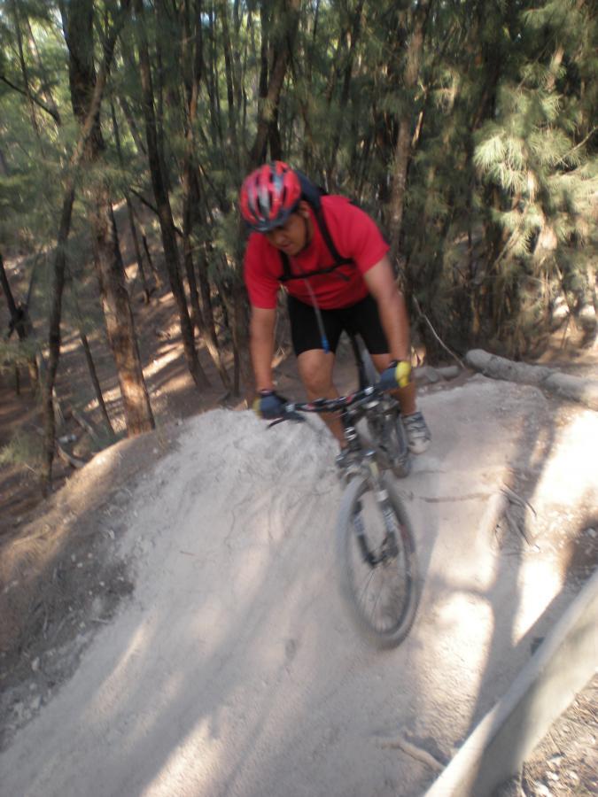 A cyclist in a red shirt is riding a mountain bike along a dirt trail in a forested area. The path is dusty and elevated, with trees surrounding the scene, creating a natural biking environment. Oleta River State Park mountain bike trail.