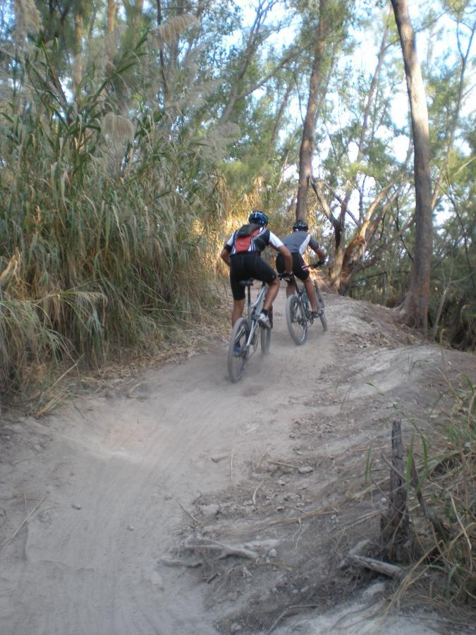 Two mountain bikers riding up a dusty trail surrounded by tall grasses and trees. The path is winding, with sunlight filtering through the foliage above. Oleta River State Park mountain bike trail.
