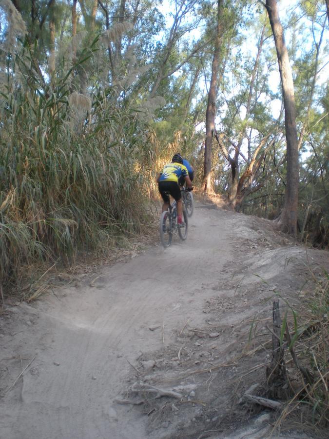 A person riding a mountain bike on a dirt trail surrounded by tall grasses and trees, descending a slight incline. The scene is illuminated by natural light, showcasing a vibrant outdoor setting. Oleta River State Park mountain bike trail.