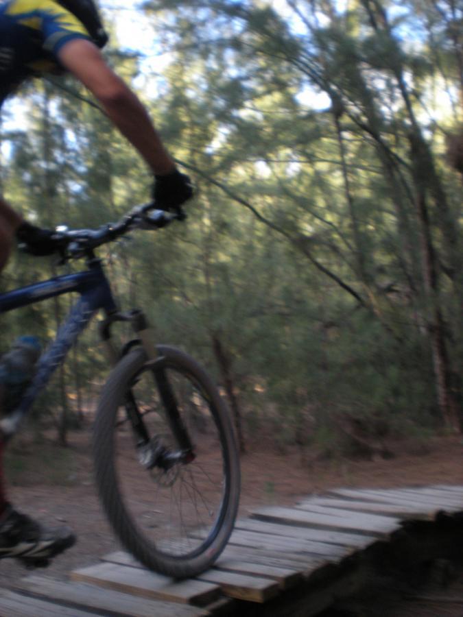 A mountain biker navigating over a wooden bridge on a forest trail, with blurred motion capturing the speed and dynamic movement, surrounded by greenery. Oleta River State Park mountain bike trail.