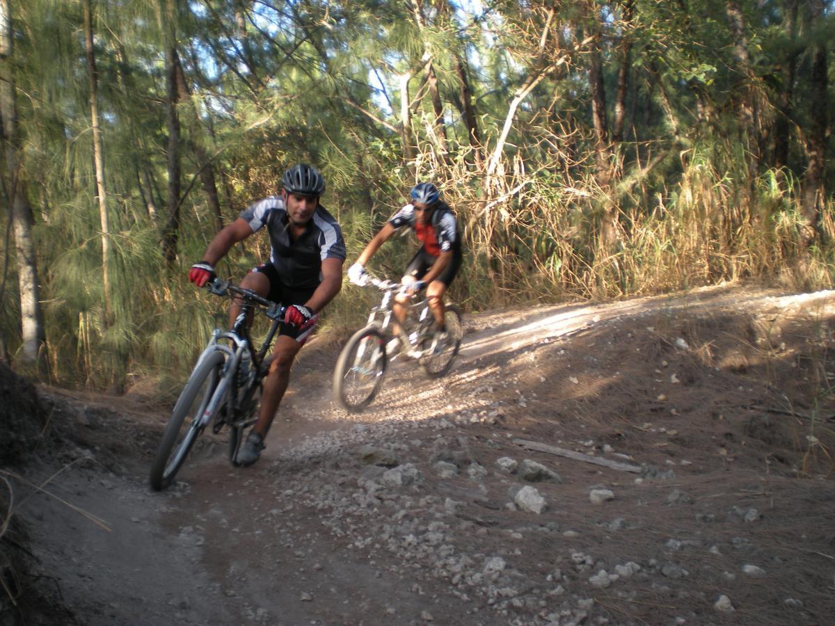 Two mountain bikers navigate a winding dirt trail surrounded by tall trees and brush. One rider is in the foreground, leaning into the turn, while the second rider follows closely behind. The sunlight filters through the trees, creating a vibrant and energetic atmosphere. Oleta River State Park mountain bike trail.