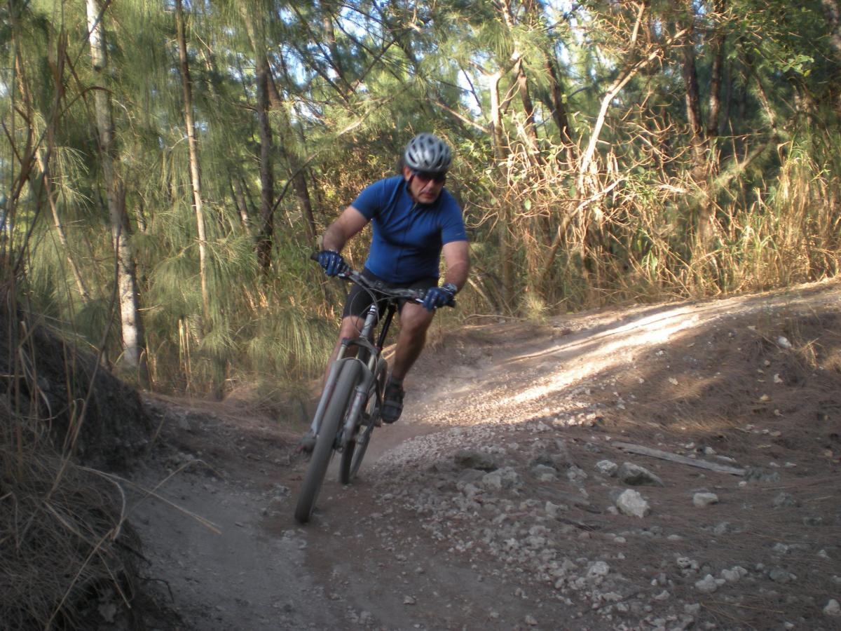 A mountain biker navigating a rocky trail through a forested area, wearing a helmet and blue shirt, with trees and foliage in the background, capturing an action-filled moment. Oleta River State Park mountain bike trail.