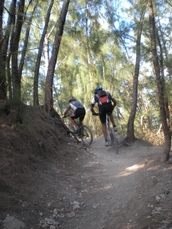 Two mountain bikers riding along a dirt trail through a densely wooded area, surrounded by tall trees and greenery. The path is slightly winding, and dust is kicked up behind the riders as they navigate the terrain. One cyclist is wearing a black helmet and jersey, while the other has a backpack and is dressed in a gray and black outfit. Oleta River State Park mountain bike trail.