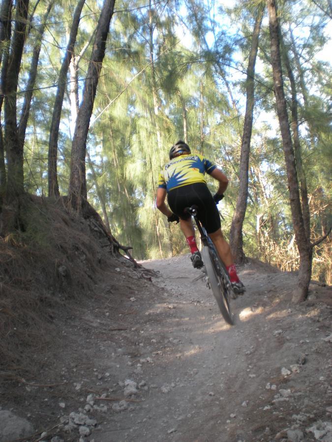 A cyclist wearing a yellow and blue jersey rides a mountain bike along a dirt path surrounded by tall trees, heading uphill on a sunny day. Oleta River State Park mountain bike trail.