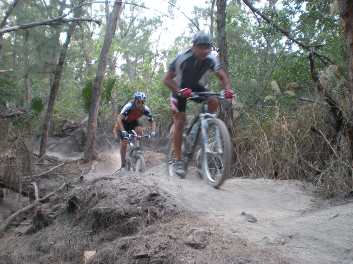 Two mountain bikers riding on a dirt trail in a forested area. The first rider is closer to the camera, leaning forward as they navigate the terrain, while the second rider follows behind. Surrounding them are tall trees and vegetation, with dust being kicked up from their tires. Oleta River State Park mountain bike trail.