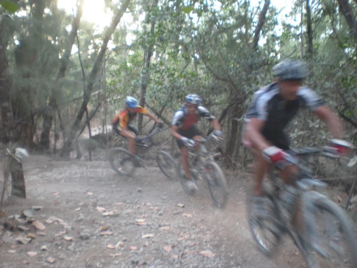 Three mountain bikers navigate a dusty trail through a wooded area, creating a sense of motion and excitement as they ride closely together. The scene is framed by trees and foliage, with sunlight filtering through the leaves. Oleta River State Park mountain bike trail.
