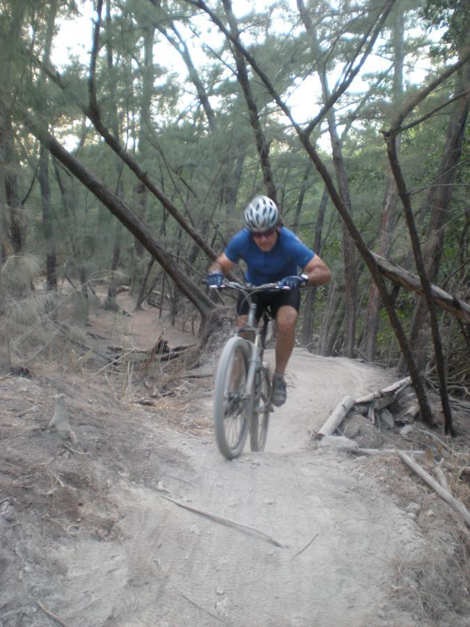 A person riding a mountain bike on a dirt trail surrounded by trees, navigating a steep and rocky section of the path. The rider is wearing a blue shirt and a helmet, showing focus and determination as they tackle the terrain. Oleta River State Park mountain bike trail.