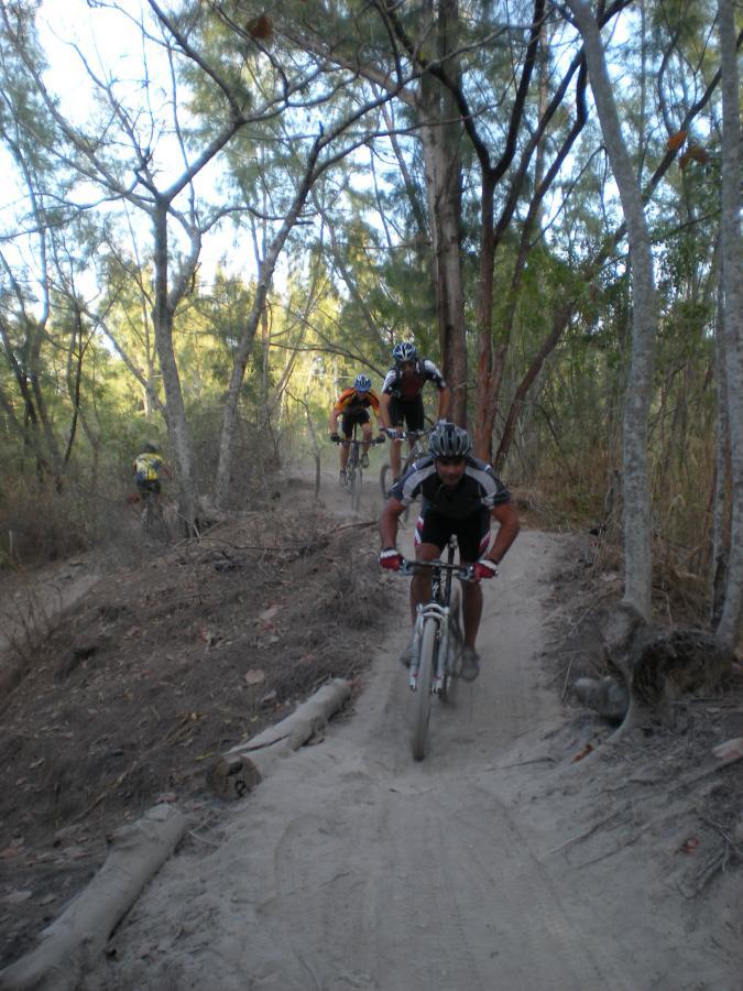 Mountain bikers ride along a dusty trail surrounded by trees in a natural setting, with several cyclists visible in the scene. Oleta River State Park mountain bike trail.