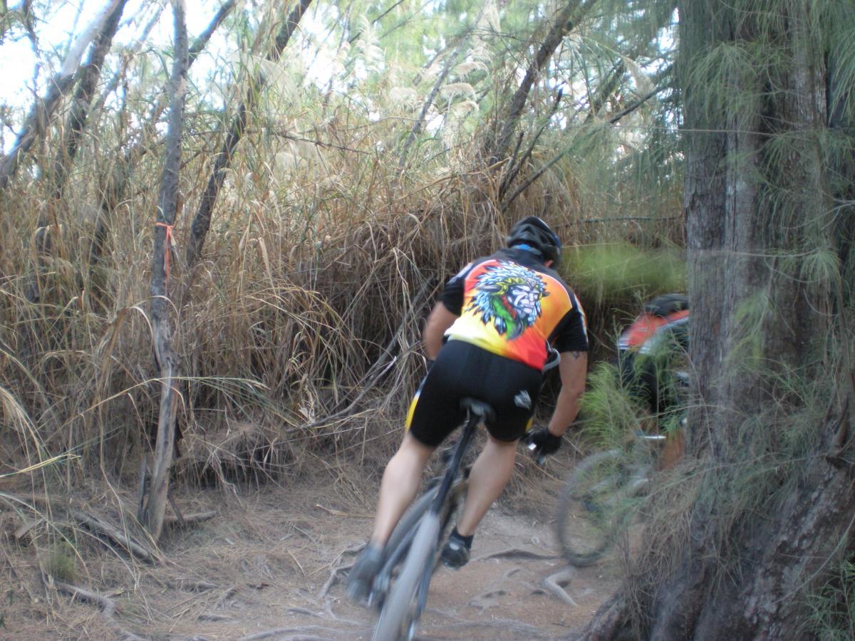 Two mountain bikers navigating a narrow trail surrounded by dense underbrush and trees, one wearing a colorful jersey with a lion design. The scene captures the dynamic movement of biking through a natural landscape. Oleta River State Park mountain bike trail.