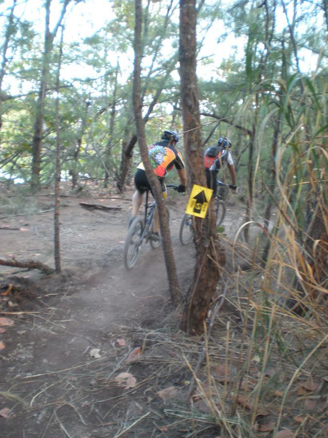 Two mountain bikers navigating a dirt trail through a wooded area. The trail is surrounded by trees and vegetation, with a sign indicating the direction ahead. Dust is kicked up from the ground as the cyclists ride. Oleta River State Park mountain bike trail.