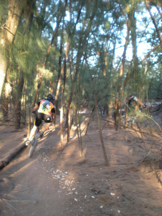 A cyclist navigating a narrow dirt trail in a wooded area, surrounded by tall trees and sunlit foliage. The cyclist is wearing a colorful jersey and is captured in motion, creating a sense of speed and adventure as they ride along the path. Oleta River State Park mountain bike trail.