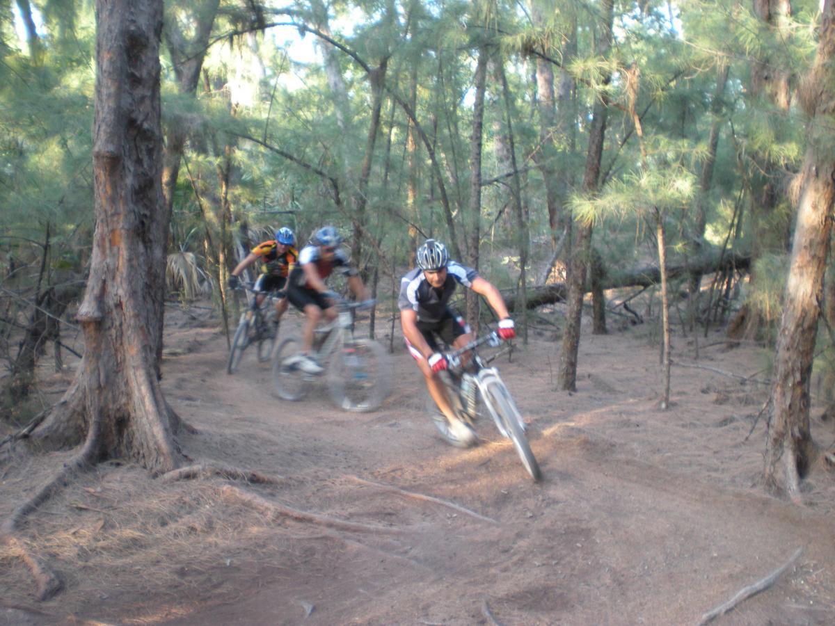 Three mountain bikers are riding along a dirt trail in a wooded area, surrounded by tall trees and greenery. The bikers are wearing protective gear and riding at speed, showcasing a sense of action and adventure in a natural setting. The ground is sandy and uneven, typical of a mountain biking path. Oleta River State Park mountain bike trail.