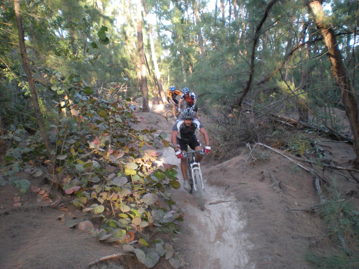 Mountain bikers navigating a dirt trail through a forested area with tall trees and foliage, showcasing a blend of sunlight and shadows. Oleta River State Park mountain bike trail.