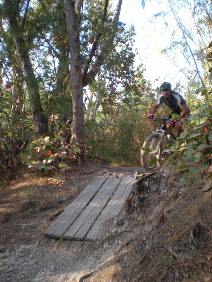 A mountain biker riding on a narrow trail surrounded by trees and vegetation, approaching a wooden bridge over a small dip in the path. The sun filters through the leaves, casting dappled light on the scene. Oleta River State Park mountain bike trail.
