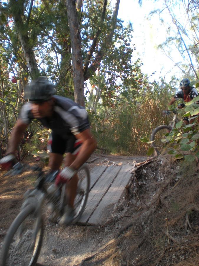 Two mountain bikers riding on a narrow dirt trail through a wooded area. One biker is in focus, approaching a small wooden bridge, while the second biker is slightly blurred in the background. The scene is vibrant with greenery and sunlight filtering through the trees. Oleta River State Park mountain bike trail.